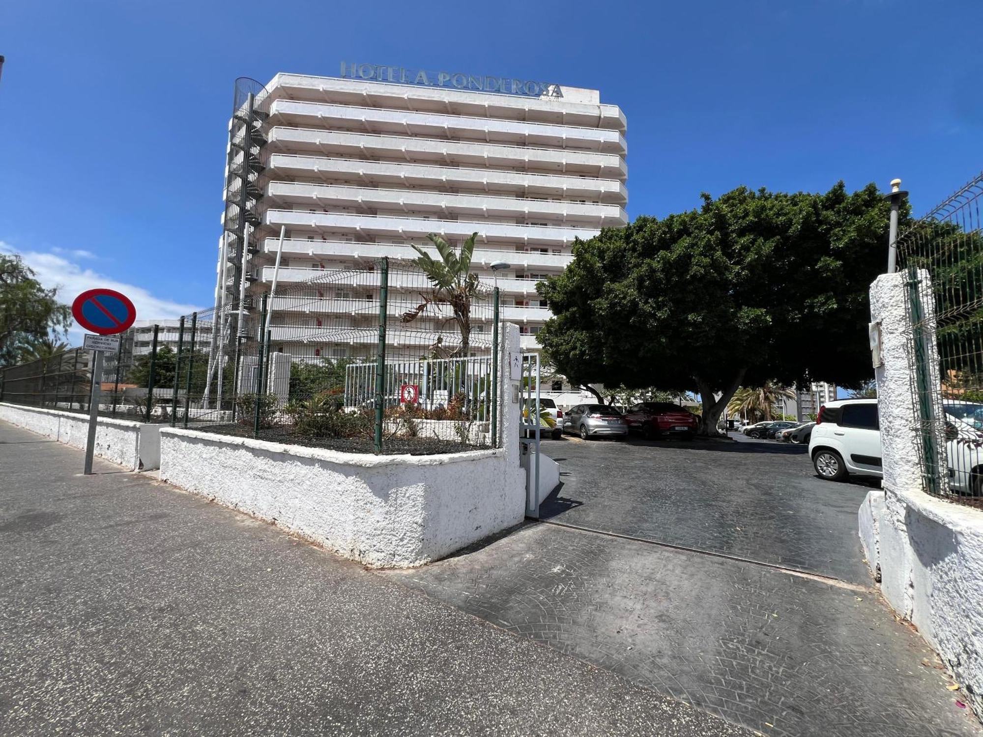 Tenerife Sea View 216 Playa Feñabe Extérieur photo